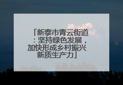 新泰市青云街道：坚持绿色发展，加快形成乡村振兴新质生产力