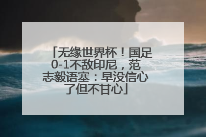 无缘世界杯！国足0-1不敌印尼，范志毅语塞：早没信心了但不甘心