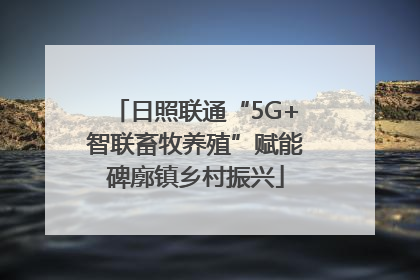 日照联通“5G+智联畜牧养殖”赋能碑廓镇乡村振兴