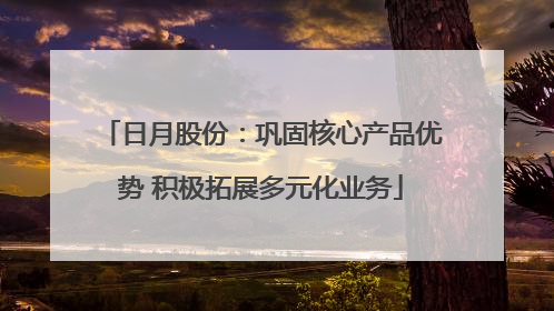 日月股份：巩固核心产品优势 积极拓展多元化业务