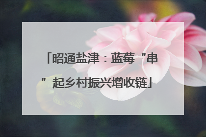 昭通盐津：蓝莓“串”起乡村振兴增收链
