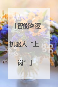 智能巡逻机器人“上岗”