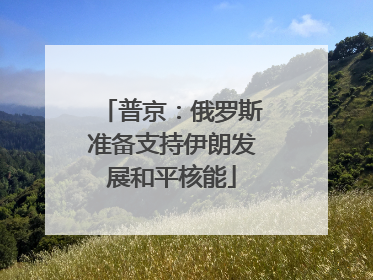 普京：俄罗斯准备支持伊朗发展和平核能