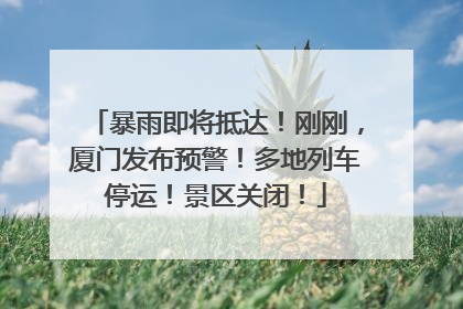 暴雨即将抵达！刚刚，厦门发布预警！多地列车停运！景区关闭！