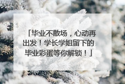 毕业不散场，心动再出发！学长学姐留下的毕业彩蛋等你解锁！