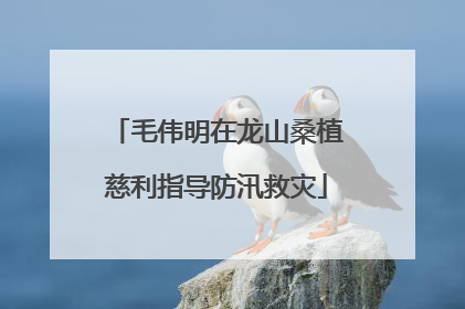 毛伟明在龙山桑植慈利指导防汛救灾