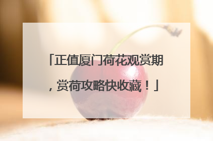 正值厦门荷花观赏期，赏荷攻略快收藏！