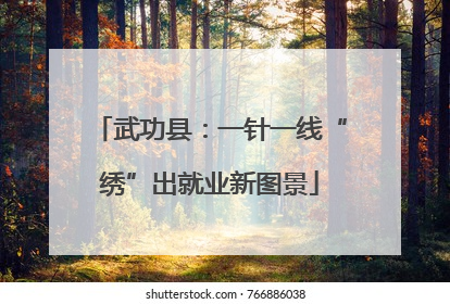 武功县：一针一线“绣”出就业新图景