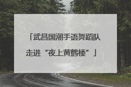 武昌国潮手语舞蹈队走进“夜上黄鹤楼”