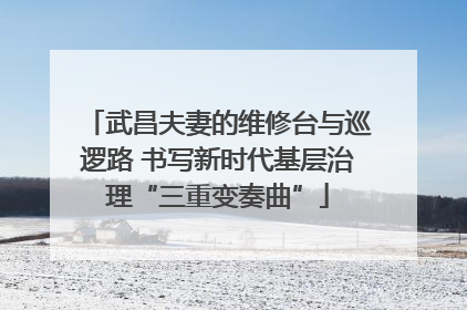 武昌夫妻的维修台与巡逻路 书写新时代基层治理“三重变奏曲”
