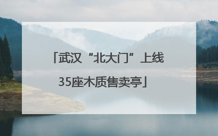 武汉“北大门”上线35座木质售卖亭