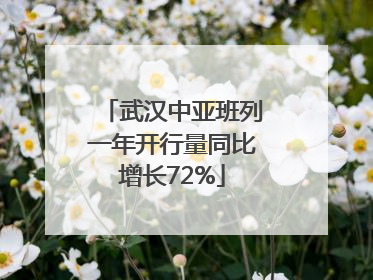 武汉中亚班列一年开行量同比增长72%