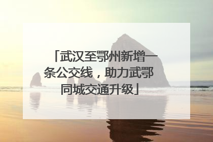 武汉至鄂州新增一条公交线，助力武鄂同城交通升级