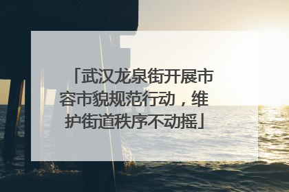 武汉龙泉街开展市容市貌规范行动，维护街道秩序不动摇