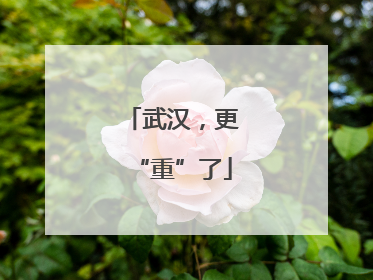 武汉，更“重”了