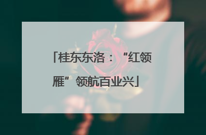桂东东洛：“红领雁”领航百业兴