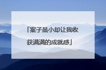 案子虽小却让我收获满满的成就感