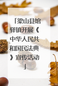 梁山县馆驿镇开展《中华人民共和国民法典》宣传活动