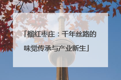 榴红枣庄：千年丝路的味觉传承与产业新生