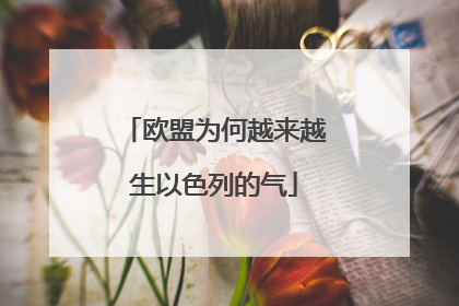 欧盟为何越来越生以色列的气