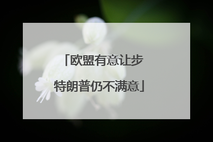 欧盟有意让步 特朗普仍不满意