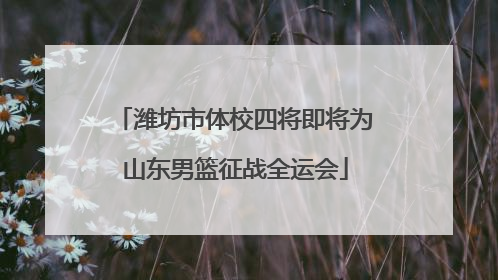 潍坊市体校四将即将为山东男篮征战全运会