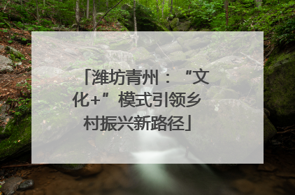 潍坊青州：“文化+”模式引领乡村振兴新路径