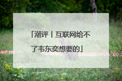 潮评丨互联网给不了韦东奕想要的