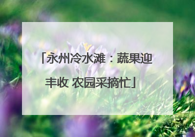 永州冷水滩：蔬果迎丰收 农园采摘忙