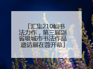 汇集210幅书法力作，第三届副省级城市书法作品邀请展在蓉开幕