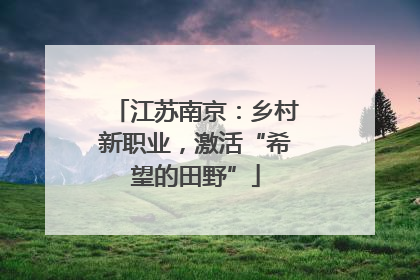 江苏南京：乡村新职业，激活“希望的田野”