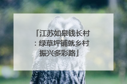江苏如皋钱长村：绿草坪铺就乡村振兴多彩路