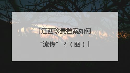 江西珍贵档案如何“流传”？（图）