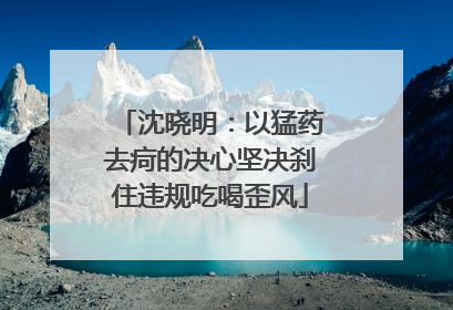沈晓明：以猛药去疴的决心坚决刹住违规吃喝歪风