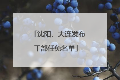 沈阳、大连发布干部任免名单