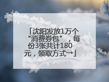 沈阳发放1万个“消费券包”，每份3张共计180元，领取方式→