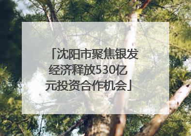 沈阳市聚焦银发经济释放530亿元投资合作机会