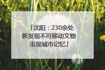 沈阳：230余处新发现不可移动文物重现城市记忆