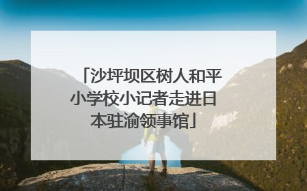沙坪坝区树人和平小学校小记者走进日本驻渝领事馆