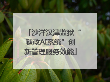 沙洋汉津监狱“狱政AI系统”创新管理服务效能