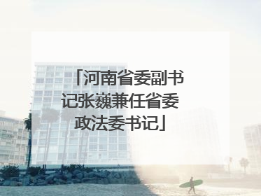河南省委副书记张巍兼任省委政法委书记