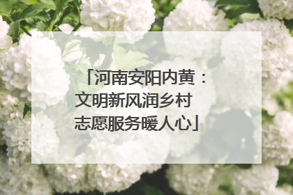 河南安阳内黄:文明新风润乡村 志愿服务暖人心
