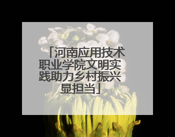 河南应用技术职业学院文明实践助力乡村振兴显担当