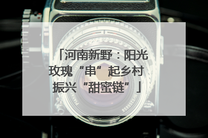 河南新野:阳光玫瑰“串”起乡村振兴“甜蜜链”