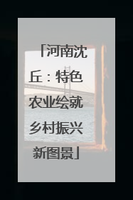 河南沈丘：特色农业绘就乡村振兴新图景