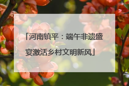 河南镇平：端午非遗盛宴激活乡村文明新风