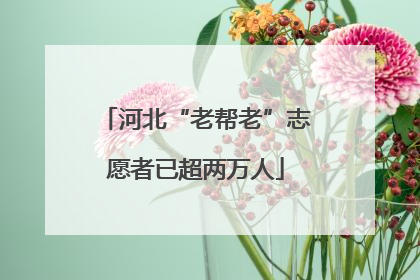 河北“老帮老”志愿者已超两万人