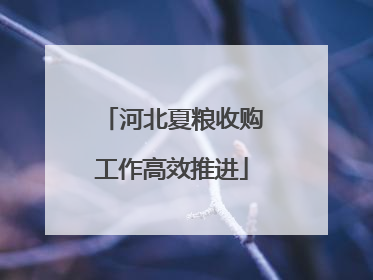 河北夏粮收购工作高效推进