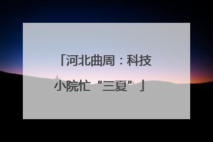 河北曲周：科技小院忙“三夏”