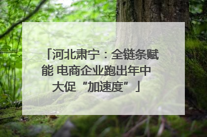 河北肃宁：全链条赋能 电商企业跑出年中大促“加速度”